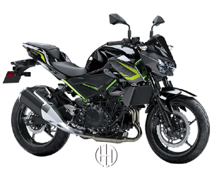 Kawasaki Z 250 (2019 - XXXX) - Motodeks