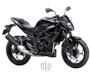 Kawasaki Z 250 SL (2015 - XXXX) - Motodeks
