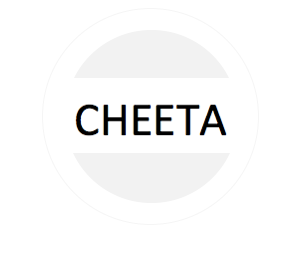 Cheeta