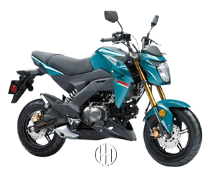 Kawasaki Z 125 Pro (2017 - XXXX) - Motodeks